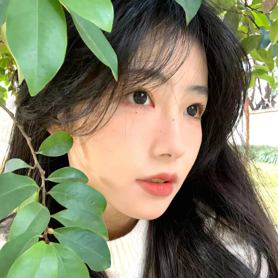 黑白无双第一季
